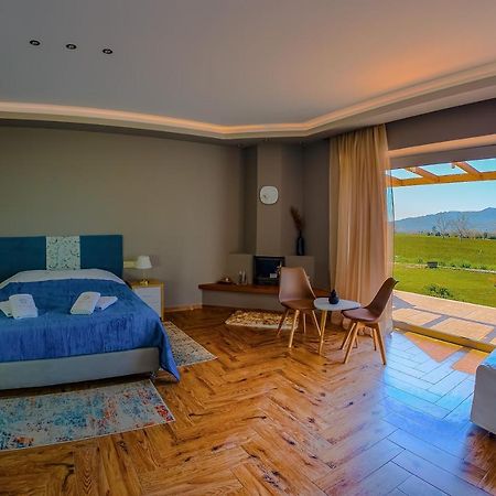 Apartament Atrium Vinea Brintziki Winery Smila Zewnętrze zdjęcie