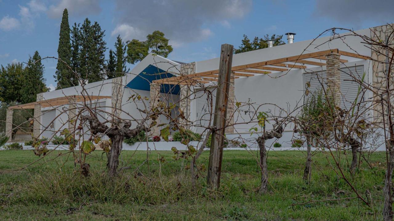 Apartament Atrium Vinea Brintziki Winery Smila Zewnętrze zdjęcie