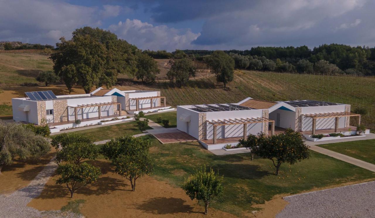 Apartament Atrium Vinea Brintziki Winery Smila Zewnętrze zdjęcie