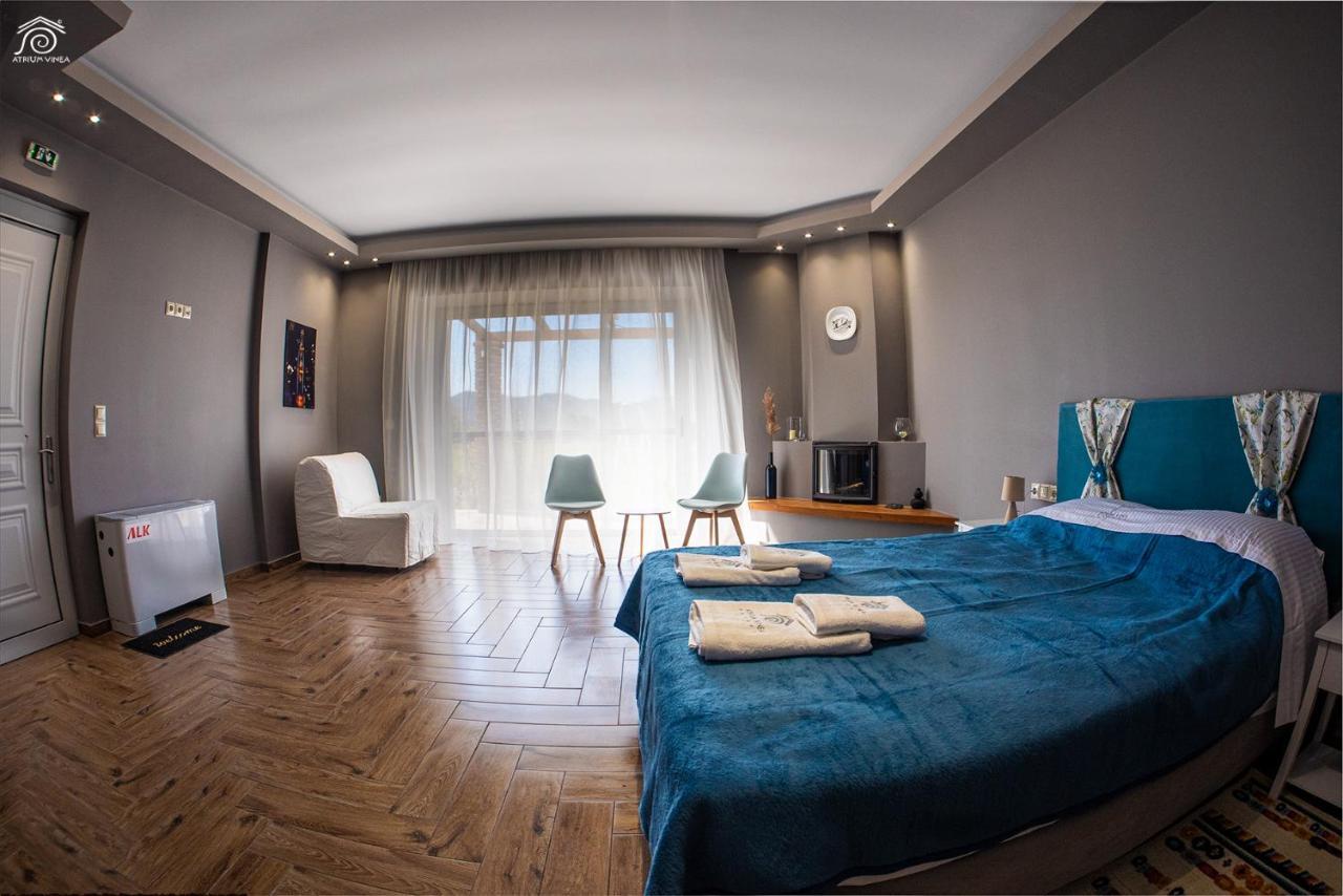 Apartament Atrium Vinea Brintziki Winery Smila Zewnętrze zdjęcie