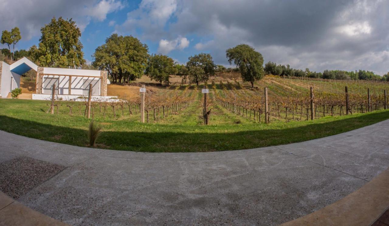 Apartament Atrium Vinea Brintziki Winery Smila Zewnętrze zdjęcie