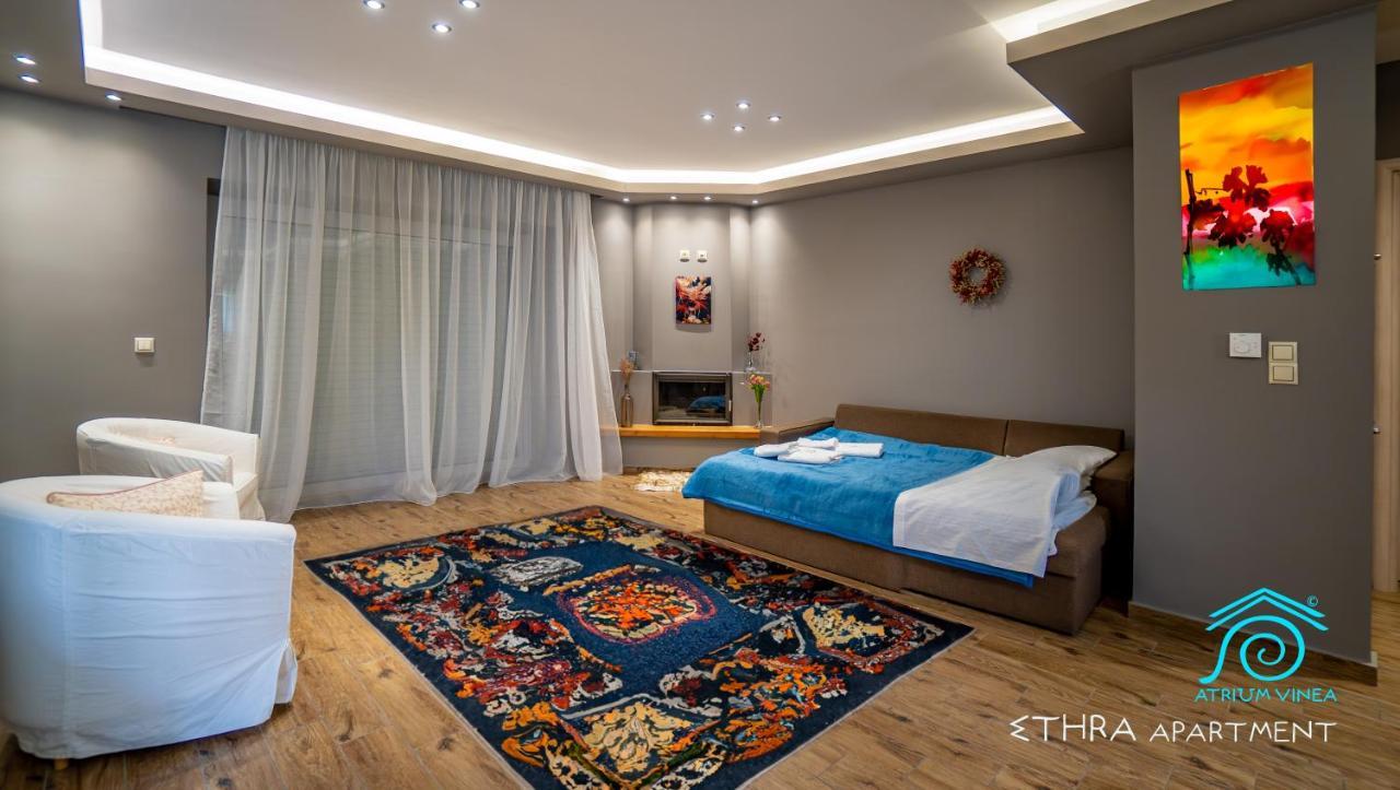 Apartament Atrium Vinea Brintziki Winery Smila Zewnętrze zdjęcie