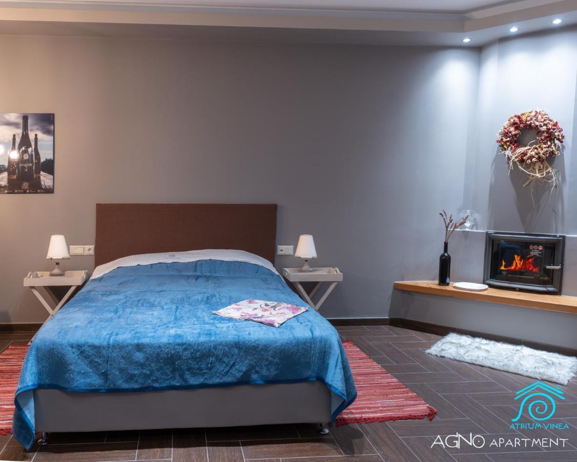 Apartament Atrium Vinea Brintziki Winery Smila Zewnętrze zdjęcie