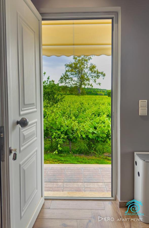 Apartament Atrium Vinea Brintziki Winery Smila Zewnętrze zdjęcie