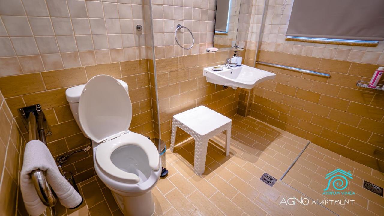 Apartament Atrium Vinea Brintziki Winery Smila Pokój zdjęcie