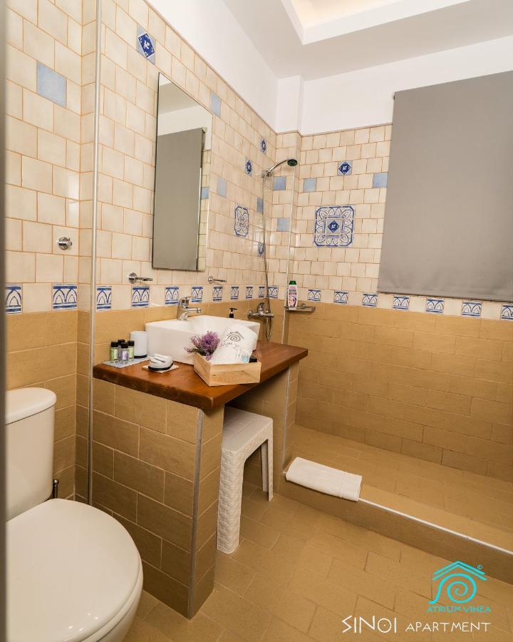 Apartament Atrium Vinea Brintziki Winery Smila Zewnętrze zdjęcie
