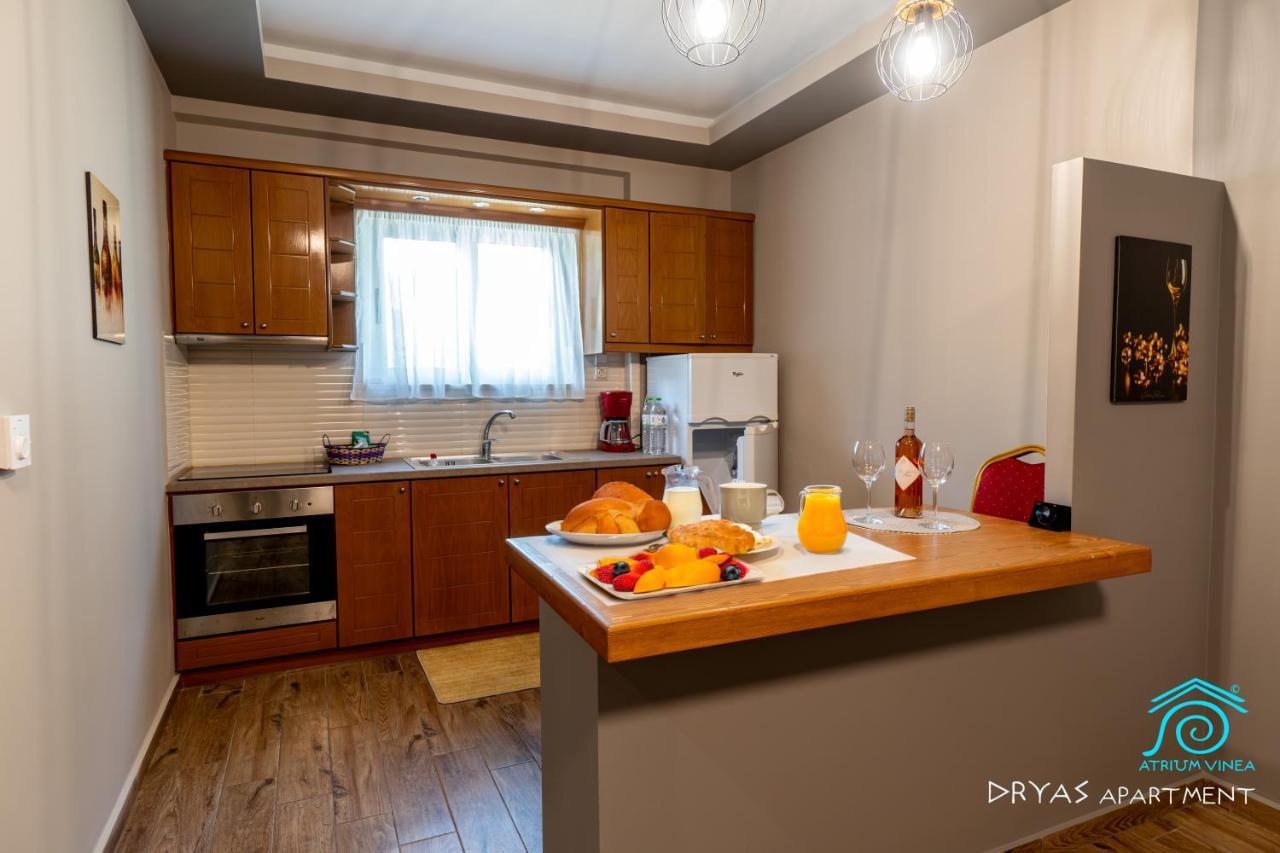 Apartament Atrium Vinea Brintziki Winery Smila Zewnętrze zdjęcie