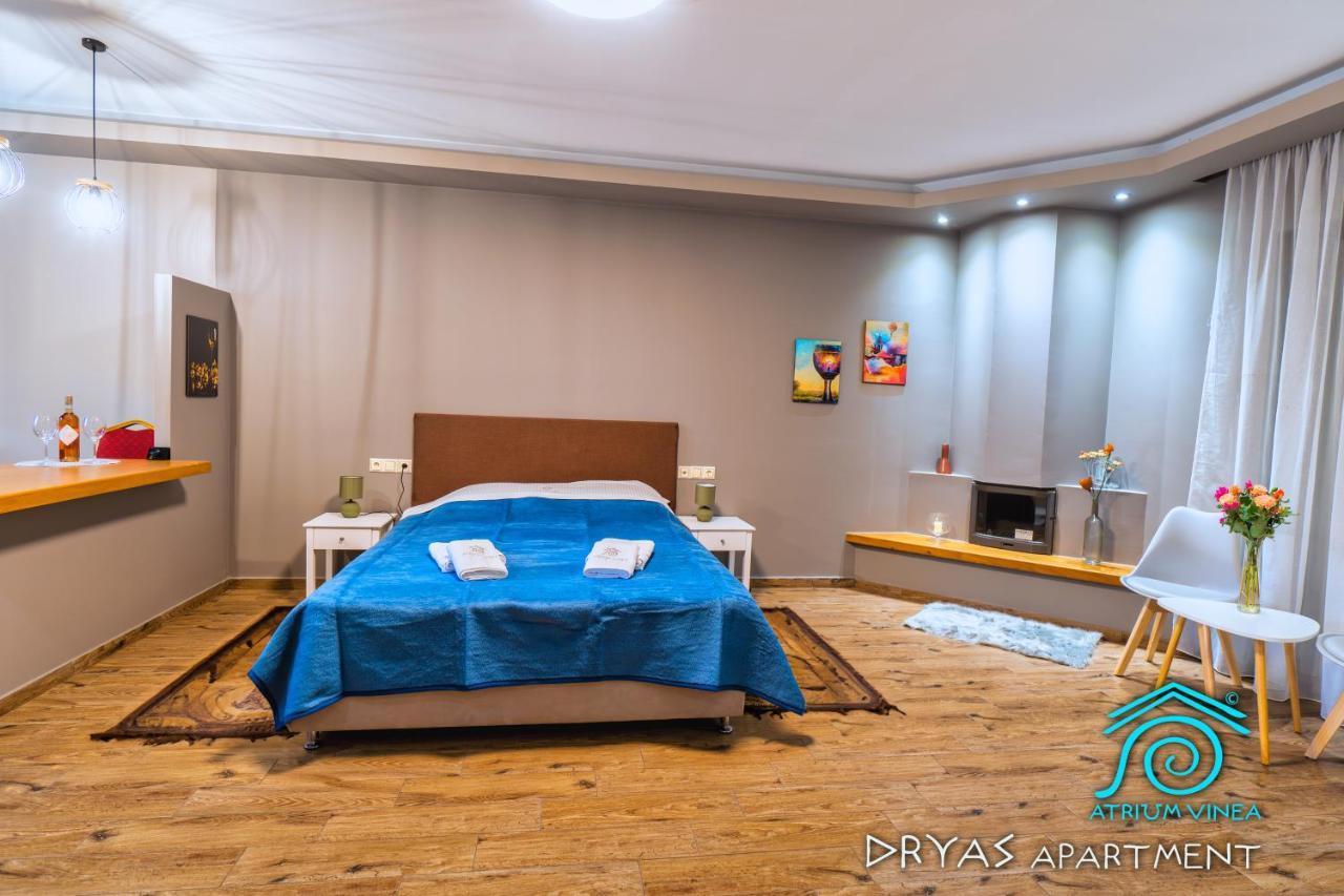 Apartament Atrium Vinea Brintziki Winery Smila Zewnętrze zdjęcie