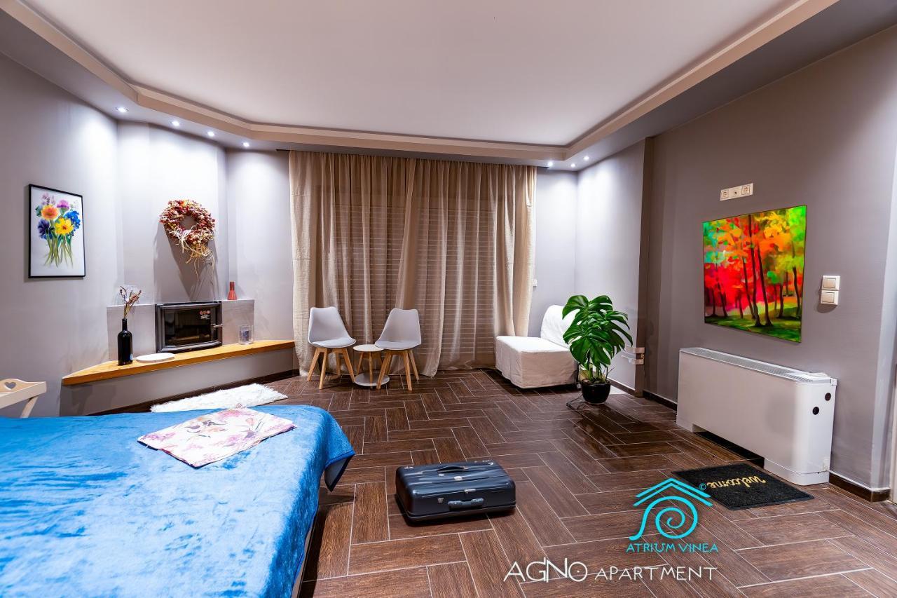 Apartament Atrium Vinea Brintziki Winery Smila Zewnętrze zdjęcie